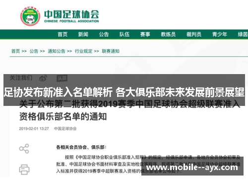 足协发布新准入名单解析 各大俱乐部未来发展前景展望