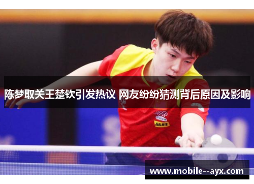陈梦取关王楚钦引发热议 网友纷纷猜测背后原因及影响