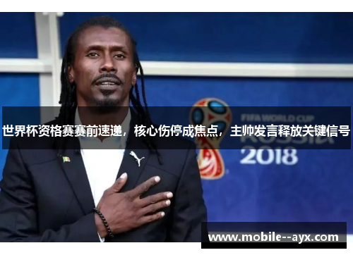 世界杯资格赛赛前速递，核心伤停成焦点，主帅发言释放关键信号