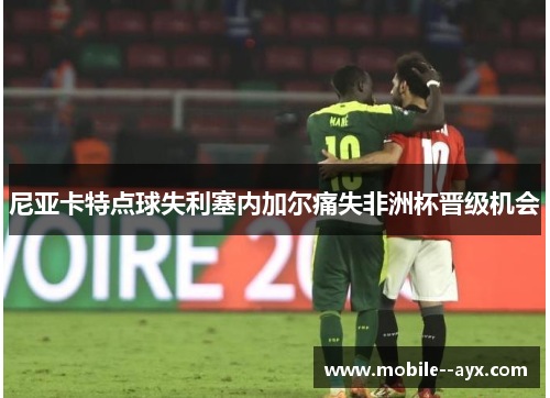 尼亚卡特点球失利塞内加尔痛失非洲杯晋级机会 尼亚卡特点球失利塞内加尔痛失非洲杯晋级机会