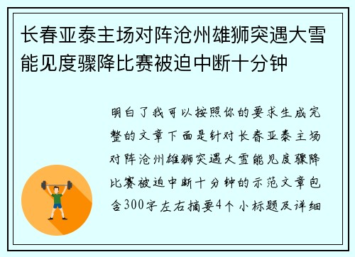 长春亚泰主场对阵沧州雄狮突遇大雪能见度骤降比赛被迫中断十分钟